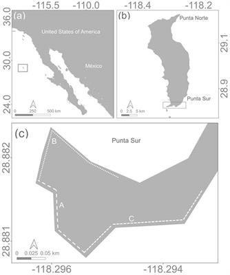 Mortality in an off-shore predator critical habitat during the Northeast Pacific marine heatwave